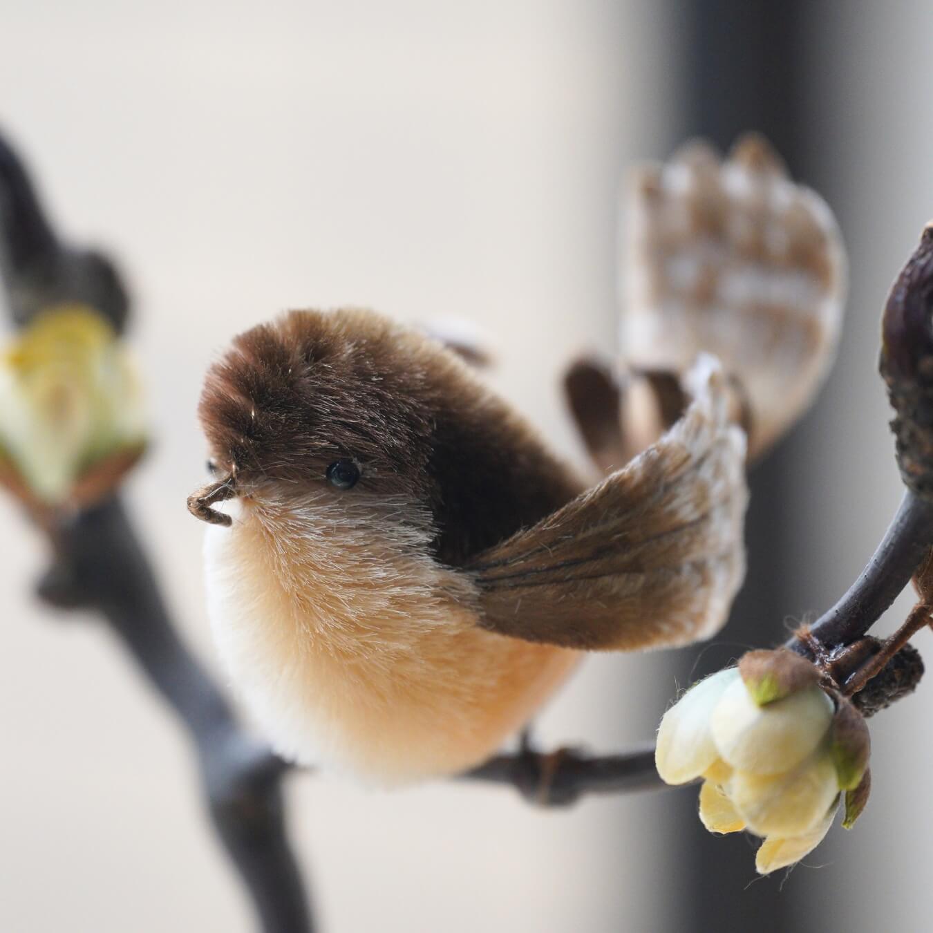 Ronghua DIY Kit | Wintersweet with Birdie