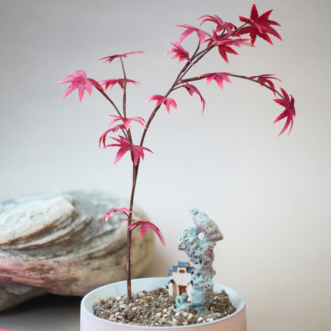 Ronghua DIY Kit | Red Maple Bonsai