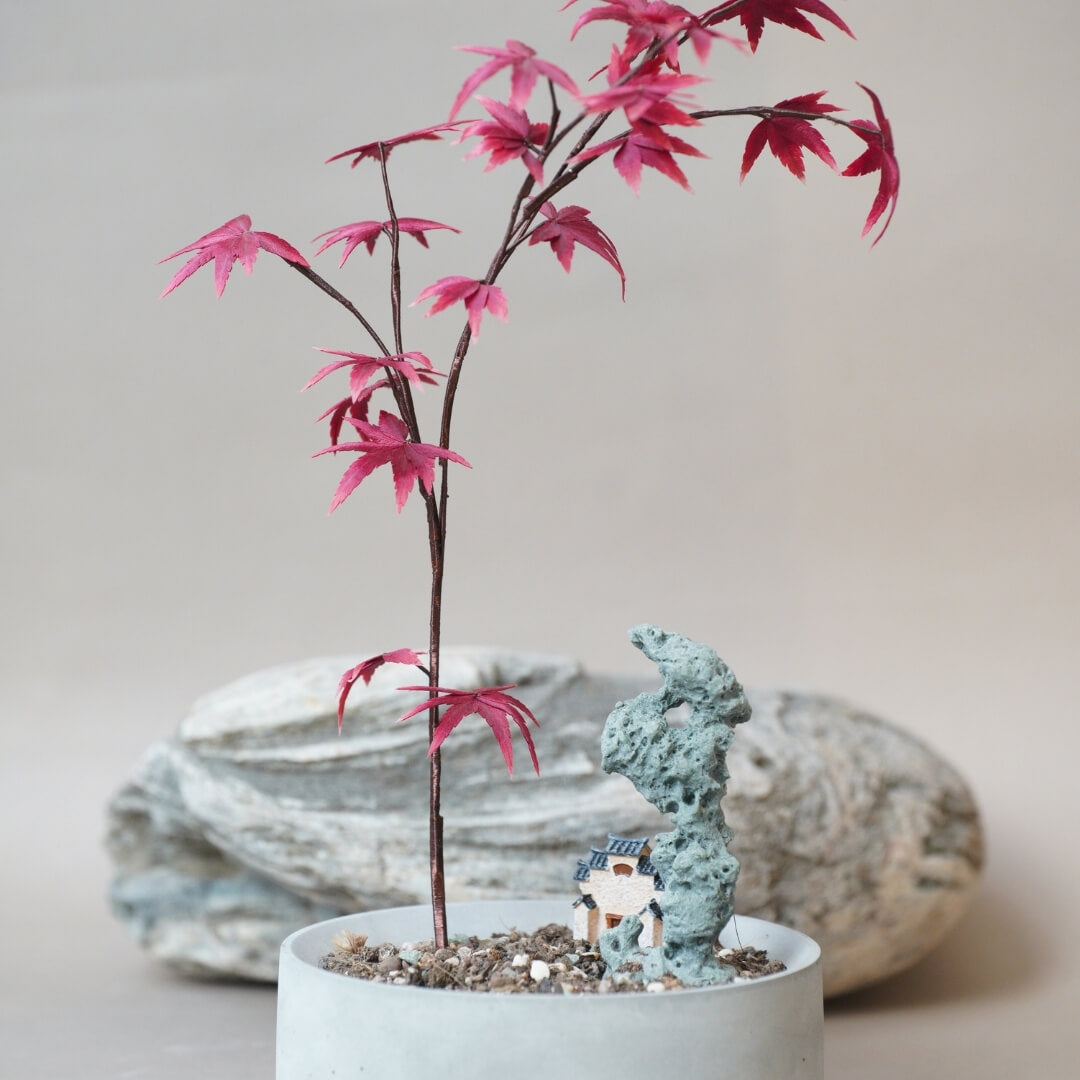 Ronghua DIY Kit | Red Maple Bonsai