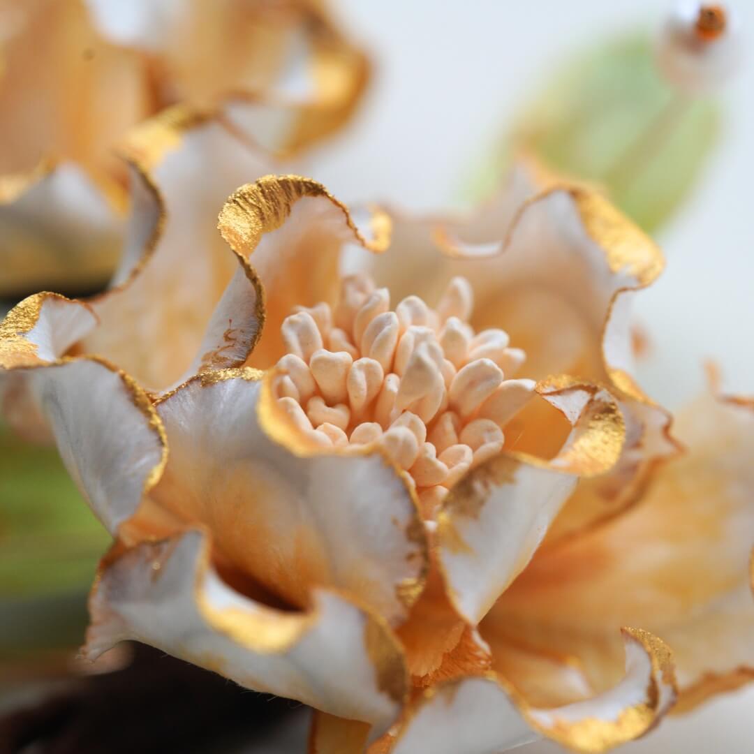 Ronghua Hairpin | White Camellia