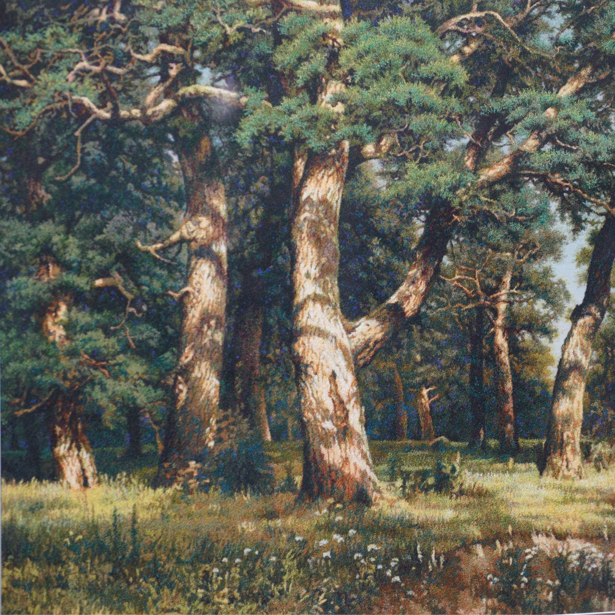 The Pine Forest